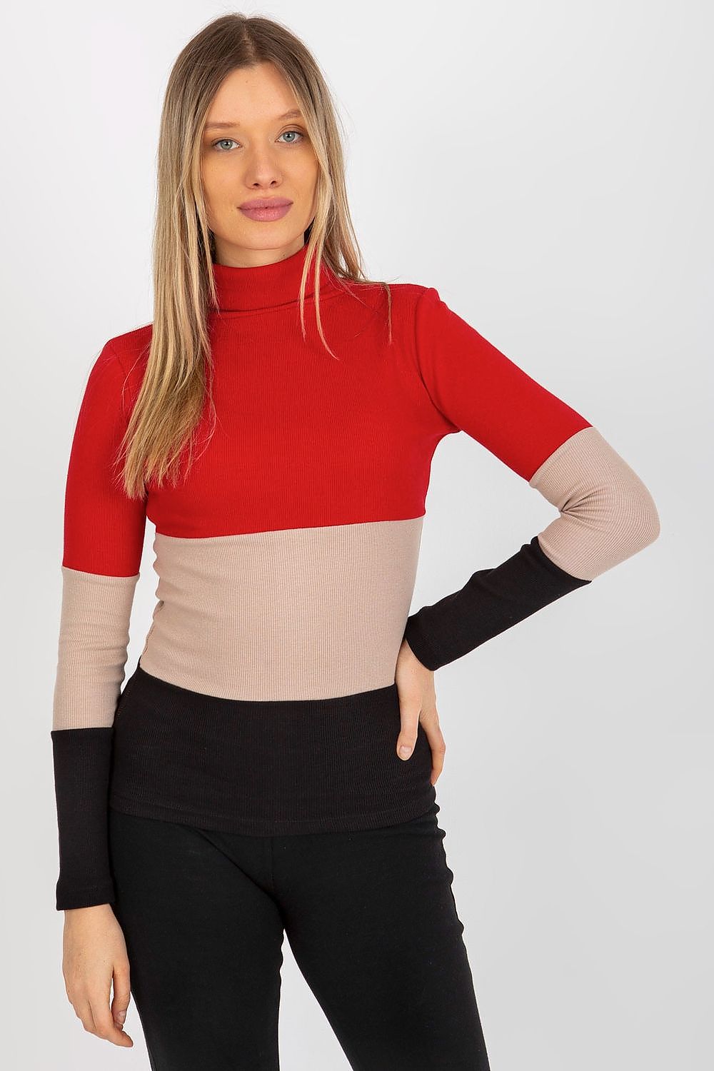 Turtleneck model 176791